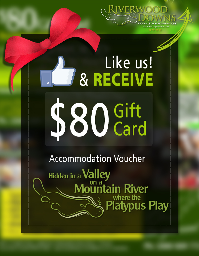 Welcome to Riverwood Downs